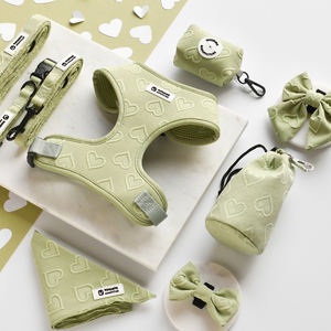 Kit de harnais de gilet de chiot en forme de coeur collier de chien avec laisse accessoires pour animaux de compagnie matériel personnalisé couleur marque LOGO harnais pour animaux de compagnie - Product Image 3