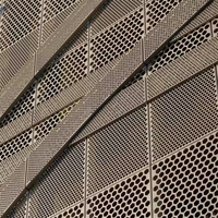 La poudre décorative a enduit la feuille perforée en métal/a galvanisé les feuilles perforées de trou micro d'acier inoxydable pour des revêtements de construction
