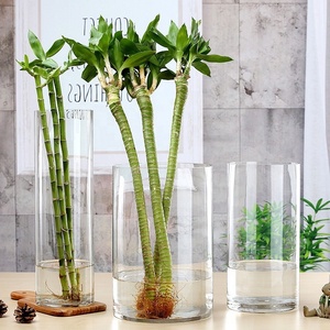 Vaso di vetro chiaro all'ingrosso forniture di fabbrica a buon mercato alto cilindro domestico moderne decorazioni nuziali nordiche - Product Image 6