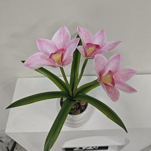 6-leaf Cymbidium <strong>Orchid</strong> <strong>Artificial</strong> <strong>Potted</strong> Plant Heart-Shaped Environment-Friendly Easter Graduation Living Room Desktop - Product Image 3