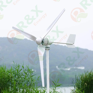 กังหันลมแนวนอน R&X RX-1000M 2KW 24V 48V 96V แม่เหล็กแรงสูง พลังงานลมฟรี เครื่องกำเนิดไฟฟ้าพลังงานลม CE ROHS RX-1000M 600W ถึง 3KW - Product Image 3
