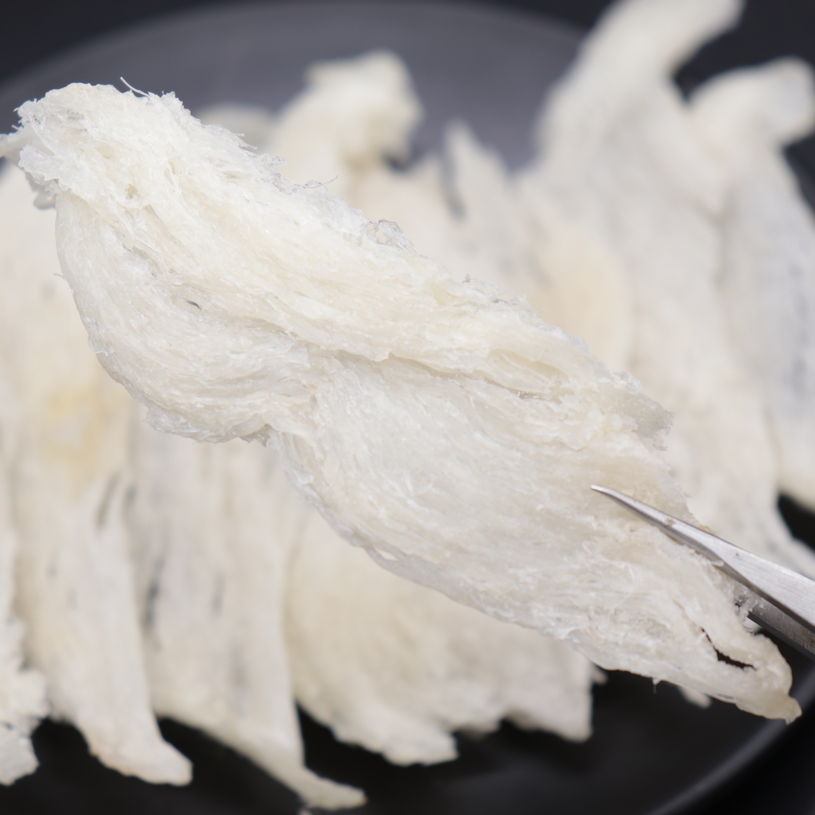 How to Choose the Best Seagull Bird Nest for Your Needs: A Complete Buying Guide