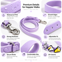 Collier pour animaux de compagnie (chats et chiens) personnalisé par le fabricant, nouvelle mode, design haut de gamme, logo personnalisé, luxe, réglable, PVC imperméable, breloques