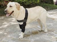 Support pour coudes et épaules de chien avec logo personnalisé, bandages pour les articulations du genou et du jarret, fibre douce et écologique