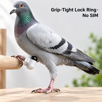 Traceur GPS Quotidien pour Pigeons – Bague de Pied avec Enregistrement de Trajectoire de Vol et Données de Nidification pour les Amateurs