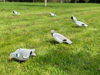 Épouvantail à oiseaux volant de haute qualité avec un déguisement de pigeon de chasse en plastique étendu pour effrayer les oiseaux