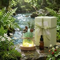 Diffuseur d'huiles essentielles pour voiture, sans flamme, coffret cadeau d'aromathérapie avec pierres diffuseuses, pierres d'aromathérapie en cristal, romantique