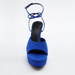 2024 talons personnalisés fabricants <span class=keywords><strong>bleu</strong></span> haut bout <span class=keywords><strong>ouvert</strong></span> plate-forme sandales luxe extérieur pompes complet personnalisé dames talons chaussures - Product Image 6