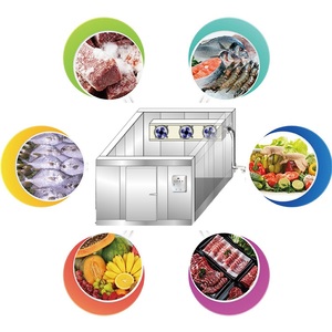 Tùy chỉnh container dễ dàng-to-hoạt động iqf Blast Tủ đông đường hầm cho tôm/thịt - Product Image 4