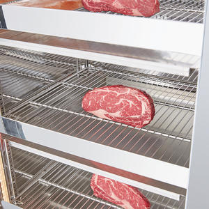 Nuovo Frigorifero Commerciale per la Stagionatura della Carne, per Steakhouse di Alta Gamma, a Risparmio Energetico, in Acciaio Inossidabile - Product Image 4
