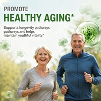 Capsules de Spermidine Marque Blanche 120 Unités Sans Gluten Concentration à 99% 100x Plus Puissant Extrait de Germe de Blé Antioxydant