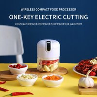 250Ml Chopper Multifunctionele Vleesmolen Stamper Machine Mini Knoflook Groente Chopper Usb Opladen Elektrische Knoflook Stamper