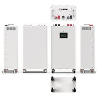 Boîtier métallique vertical vide pour batterie prismatique EU 48V DIY, double assurance, kit 16S 280Ah~345Ah LFP JK BMS MCCB Disjoncteur 220A