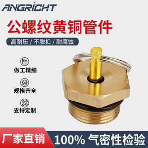 ข้อต่อแบบเร็วสำหรับท่อลมทองแดงชนิดเกลียวนอกแบบเสียบ ทนแรงดันสูง - Product Image 5