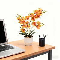 Orchidées Phalaenopsis artificielles D&D en caoutchouc souple, bonsaï fait main, toucher réaliste, 5 couleurs, 9*37cm, décoration maison, hôtel, mariage
