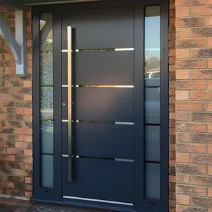 Modern Design Decorative Double Exterior Steel Front Entry Door Stainless Steel Security Doors With Security Lock