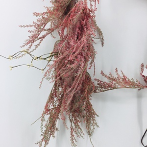 <span class=keywords><strong>Fleur</strong></span> artificielle <span class=keywords><strong>de</strong></span> glycine pampas Isevian, blanc, rose, violet, jaune, vert, rouge, en gros, <span class=keywords><strong>pas</strong></span> <span class=keywords><strong>cher</strong></span>, pour fête, mariage, à suspendre - Product Image 1