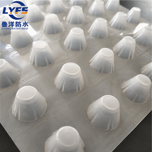 Geokomposit-Drainageplatte mit Vliesstoff-Geotextilfilter HDPE-Dimple-Drainagematte 8mm-25mm - Product Image 5