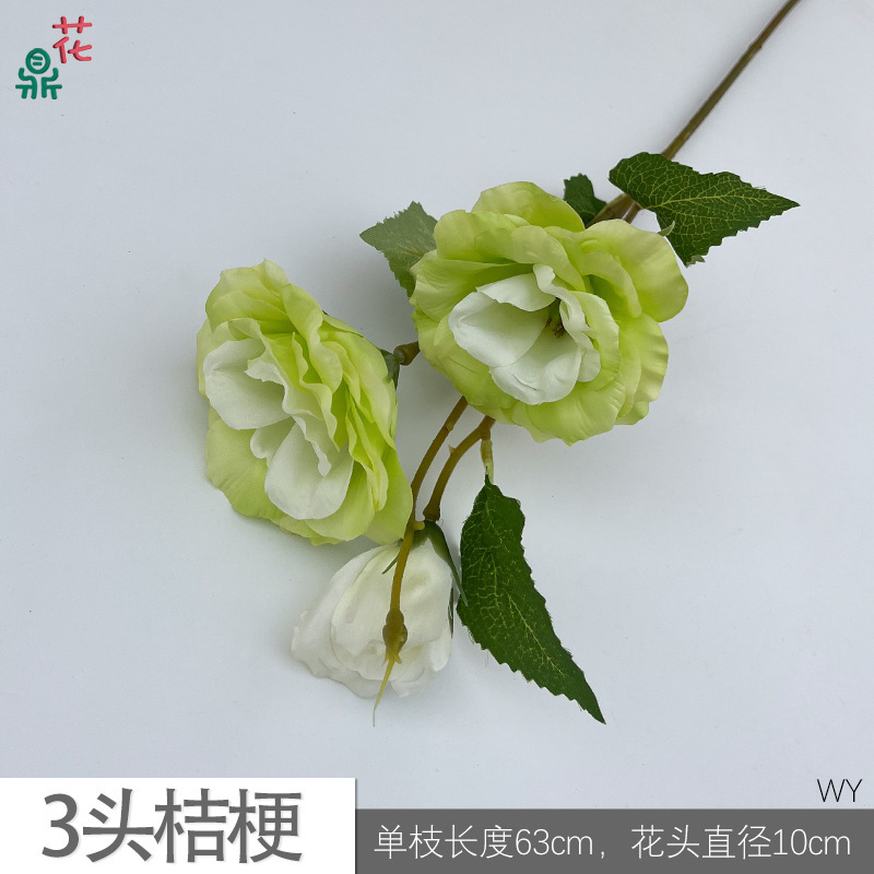 ดอกลิลลี่แห่งหุบเขา 3 หัว สีเขียว WY