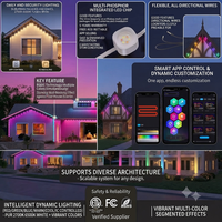 Guirlandes lumineuses permanentes en plastique WWIC Pixel Eave Gutter Lights Pro 100FT DC36V Basse Tension IP67 Étanche Contrôle Intelligent par Application/Télécommande/Voix Noël