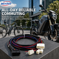 Harnais de câblage électronique personnalisés BeiXing avec isolation en PVC, indice de protection IP67, âme en cuivre pour motos et vélos