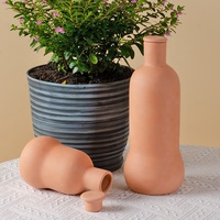 Pot de plante en argile à arrosage automatique en terre cuite avec système d'irrigation à pointes d'arrosage pour plantes de jardin