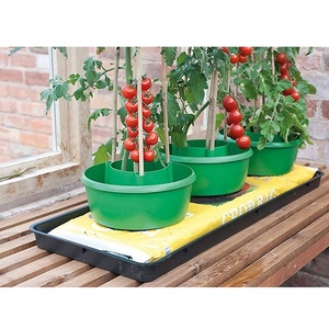 Self Watering Tomato Planter <strong>Plant</strong> Halos Plastic <strong>Slow</strong> <strong>Release</strong> Drip Pot Growing Planter Tomato <strong>Plant</strong> Pots Garden Pot Planter - Product Image 5