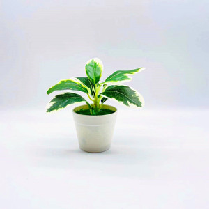 Plantes artificielles en pot, style mini bonsaï, verdure en plastique pour la décoration de la maison, du bureau ou du bureau à domicile, hauteur 13 cm, fabriqué en Chine - Product Image 3