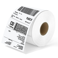 Étiquettes thermiques sans BPA 100 x 150 mm, rouleau d'étiquettes thermiques 6x4, étiquettes d'adresse 4x6, étiquettes d'expédition thermiques directes, autocollants thermiques directes
