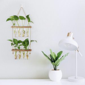 HYINDOOR Classique Écologique Hydroponique Station <span class=keywords><strong>De</strong></span> Propagation Des Plantes 8 Tubes Tube À Essai Vase Verre Planteur <span class=keywords><strong>Sapin</strong></span> Bois Pots <span class=keywords><strong>De</strong></span> Fleurs - Product Image 1