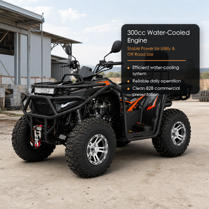 <span class=keywords><strong>Quad</strong></span> 300cc à essence pour adultes, automatique CVT, refroidissement par eau, tout-terrain, véhicule utilitaire agricole, transmission par chaîne, avec dossier - Product Image 1
