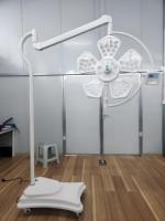 Lampe chirurgicale LED pour bloc opératoire vétérinaire, lampe frontale pour animaux
