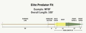 Ligne <span class=keywords><strong>de</strong></span> pêche Predator Fly Line haute performance pour gros poissons et streamers (B10) - Product Image 2
