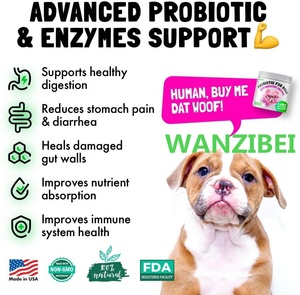 Suplementos Herbales para Articulaciones y Huesos <span class=keywords><strong>de</strong></span> Mascotas Directo <span class=keywords><strong>de</strong></span> Fábrica, OEM Personalizado, Venta al por Mayor, Pedidos al por Mayor en Contenedores Completos Listos para Envío - Product Image 2