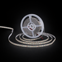Bande LED Flexible 24V 18W/m, Puce 2025, 2100LM/m, Luminosité Uniforme, PCB Nu, Découpable, CE RoHS IP20, Éclairage Résidentiel DIY