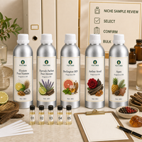 Koleksi Seri Minyak Parfum Desainer untuk Diffuser, Lilin, Sabun, Pengharum Ruangan, Grosir, Label Pribadi, Pemasok OEM ODM
