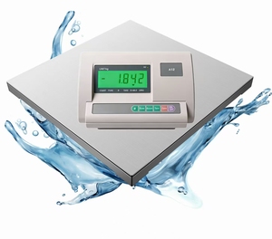 उच्च गुणवत्ता 1 टन 2टन 3 टन 10 टन प्लेटफॉर्म फ्लोर स्केल - Product Image 4