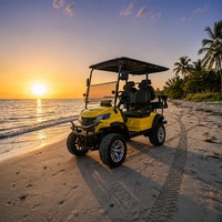 Voiturette de golf électrique pour zone touristique en zone herbeuse, 2, 4 ou 6 places, moteur AC 72V 7.5KW, batterie au lithium, pour navette de camping en prairie, homologuée DOT