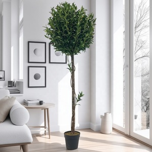 Bonsái simulado de <span class=keywords><strong>olivo</strong></span> Artificial de estilo verde <span class=keywords><strong>grande</strong></span> de 6 pies y 180cm para decoración de oficina, <span class=keywords><strong>olivo</strong></span> antiguo Natural Similar de China - Product Image 1