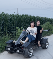 Go-Kart Eléctrico Biplaza de Primera Categoría con Ruedas de Aluminio de 10 Pulgadas, Go-Karts de Alta Velocidad para Adultos, Uso en Exteriores, Alcance de 50 km