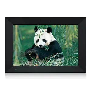 10.1 Inch Smart WiFi Cloud Digital Picture Frame 1280x800 HD Touch Screen gift to family