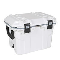 Boîte isotherme portable 30L en plastique moulé par injection OEM/ODM, conservation de la glace pendant 5 jours pour canettes alimentaires, personnalisation du logo - Cuisine et extérieur
