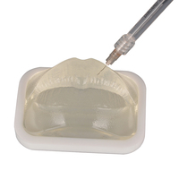Modèle transparent de bouche de lèvre pour la formation d'institut esthétique et le produit de science médicale de démonstration de pratique d'injection de remplissage