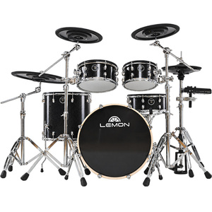 Lemon <strong>Drum</strong> T1000 Full Size Acoustic <strong>Drum</strong> <strong>Kit</strong>(Available for Customization) - Product Image 5