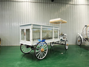 Coche fúnebre americano de lujo de acero blanco y cuero con columna romana eléctrica <span class=keywords><strong>transporte</strong></span> especial - Product Image 2