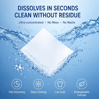 Feuilles de lessive OEM écologiques jetables, solides, sans liquide, faible mousse, parfum lin frais, non toxiques, pour le lavage en voyage