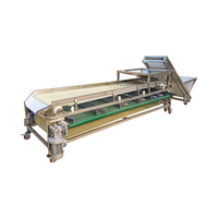 Pruimen fruit sorteerapparaat, appel sorteermachine, sinaasappel sorteermachine, maat sorteermachine beschikbaar voor Medjool dadels, jujubes en dadels.