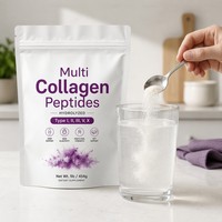 OEM & ODM Premium-Qualität Multi-Kollagen-Peptide Biotin Vitamin C & Hyaluronsäure-Pulver Natürliche Inhaltsstoffe