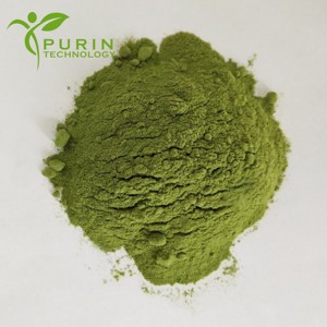 Bán buôn hữu cơ số lượng lớn Moringa oleifera lá chiết xuất, tinh khiết tự nhiên Moringa oleifera lá chiết xuất bột - Product Image 2