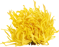 Thé aux fleurs entières de chrysanthème doré - Tisane naturelle sans caféine pour la détox et le calme